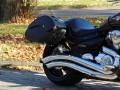 DSC09431.JPG