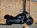 DSC09417.JPG