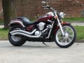 DSC08503.JPG