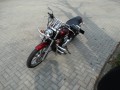 DSC08498.JPG