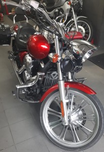 Gmole spacerówki Kawasaki Vulcan VN900 VN 900