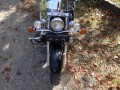 DSC06485.JPG