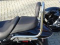 DSC09546.JPG